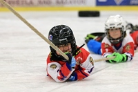 Pojď hrát hokej (leden 2019) 63