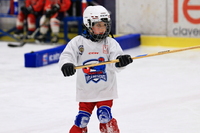 PŘÍPRAVKA - 2024/2025 29
