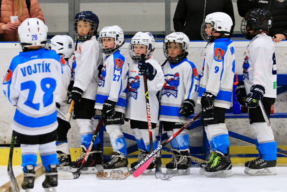 PŘÍPRAVKA - 2024/2025 33