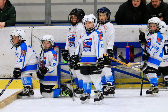 PŘÍPRAVKA - 2024/2025 38