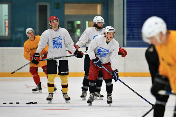 Příprava na ledě v Humpolci (11.6.2021) 3